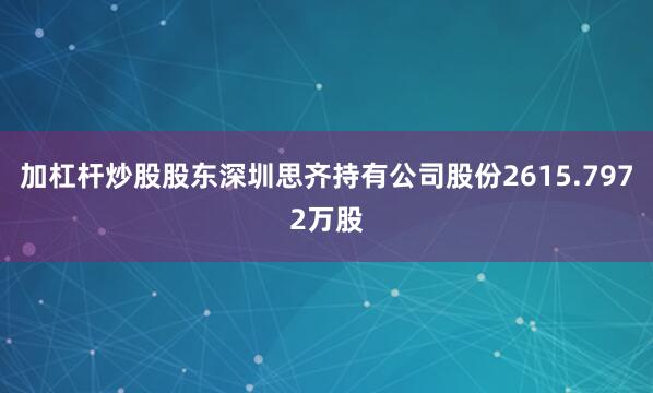 加杠杆炒股股东深圳思齐持有公司股份2615.7972万股