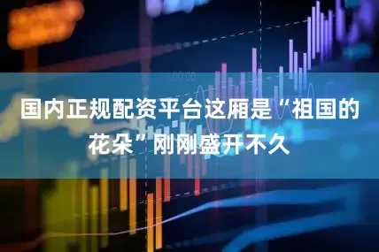 国内正规配资平台这厢是“祖国的花朵”刚刚盛开不久