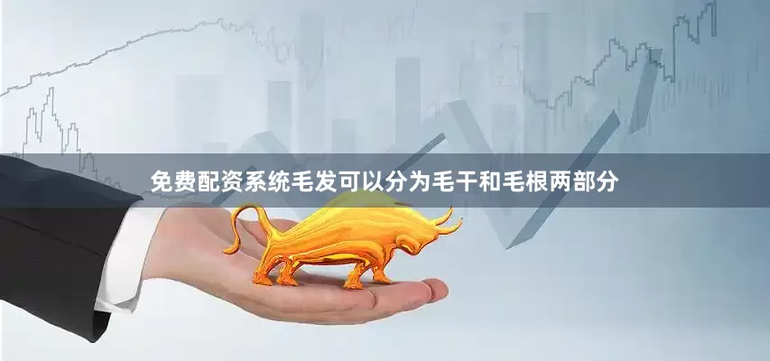 免费配资系统毛发可以分为毛干和毛根两部分