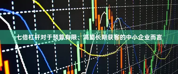 七倍杠杆对于预算有限、渴望长期获客的中小企业而言